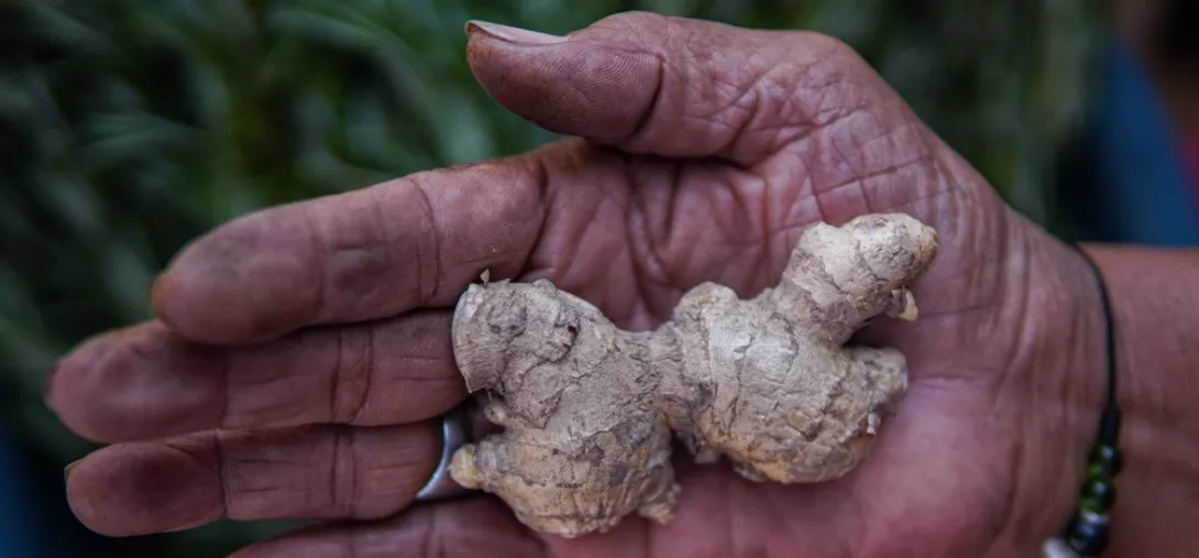 SANTA MARTA-MERY GRANADOS-ÙRSULA