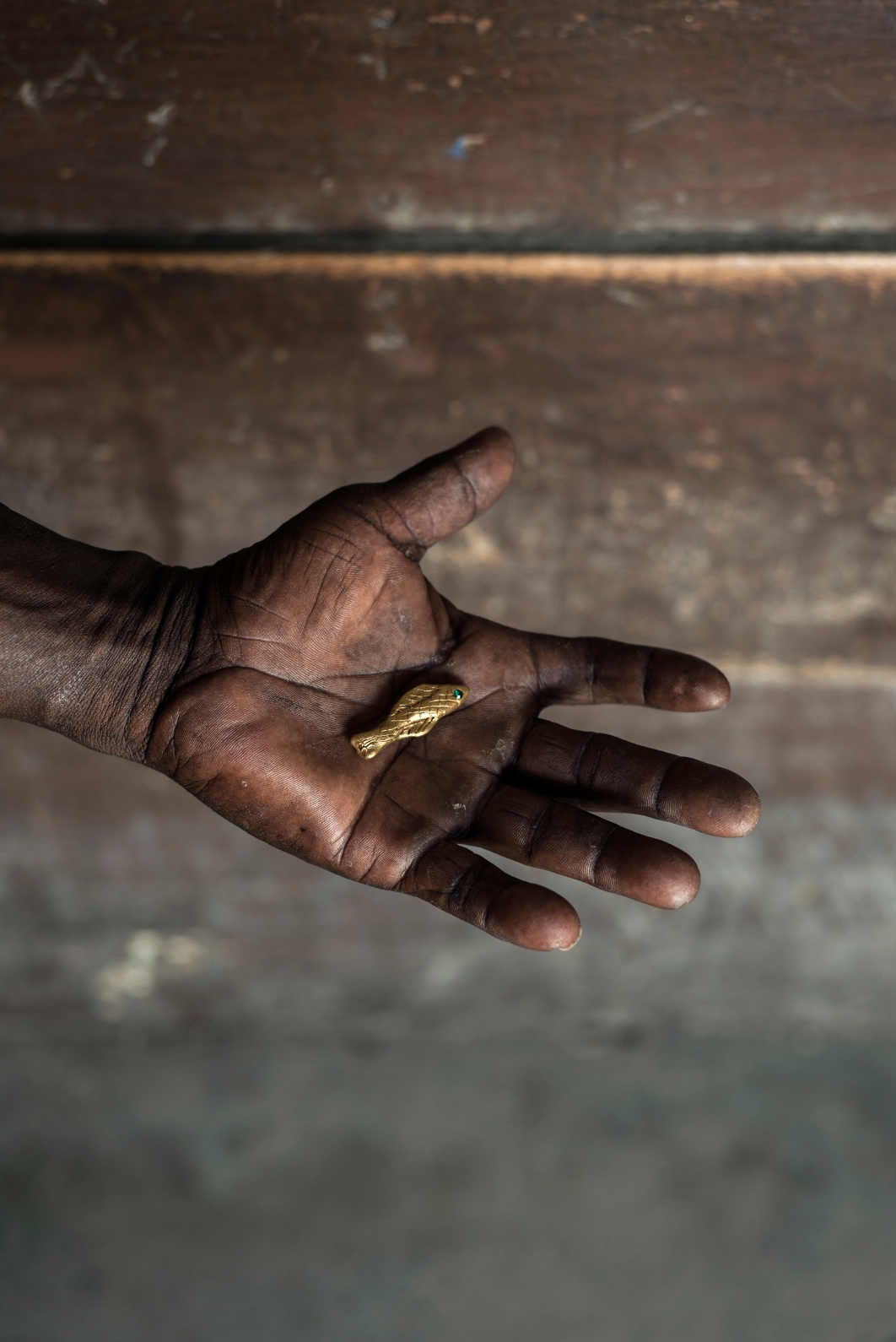 Pescaditos de oro encontrados